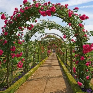Heavy Duty Metal Garden Arch Arbour
